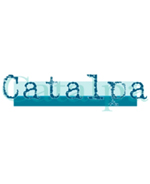 Catalpa
